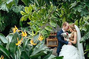 свадебная фотосессия в оражерее ботанического сада